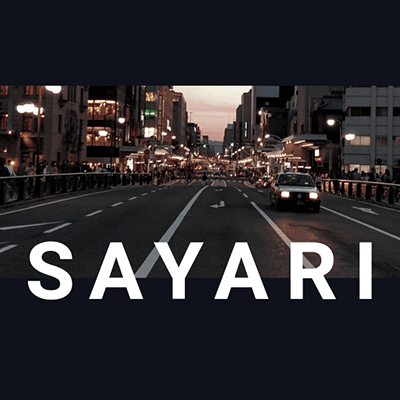 Sayari Labs